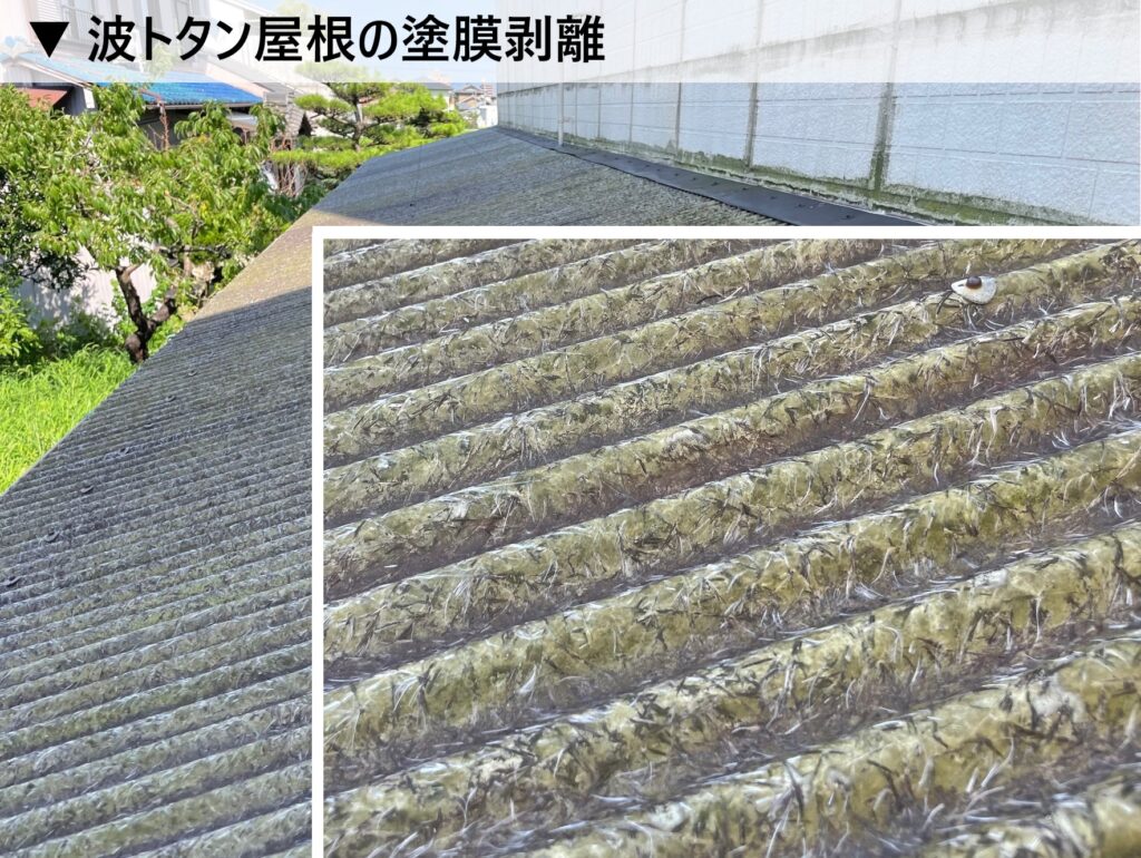台風シーズン前のチェックポイント⑩波トタン屋根の塗膜剥離