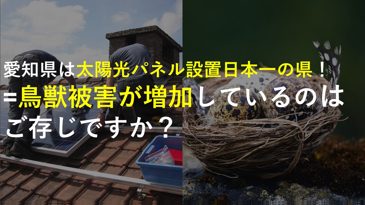 愛知県は太陽光パネル（ソーラーパネル）設置日本一の県！=鳥獣被害が増加しているのはご存じですか？