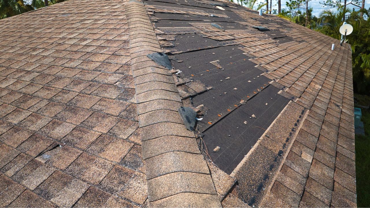 屋根塗装の必要性の判断ポイント④雨漏りが発生していないか