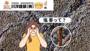 塩害とは？被害をうけるエリアはどこ？知っておきたい塩害対策を解説！