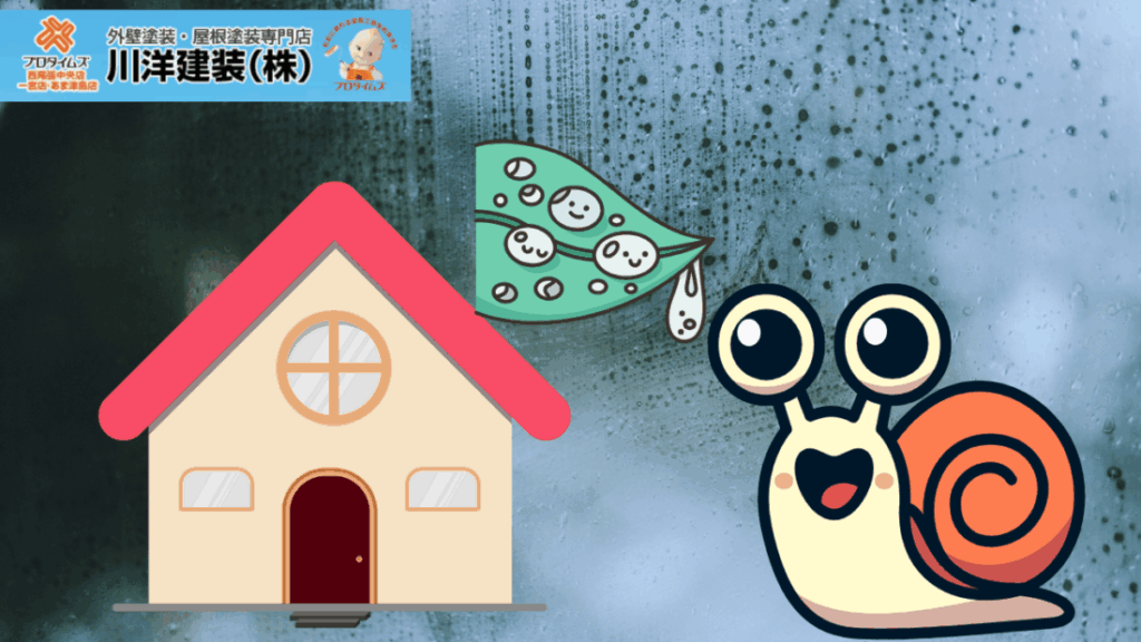 1_かたつむりが家に出たら要注意？雨漏りとカビのリスクをプロが解説