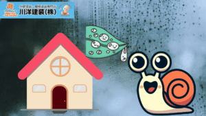 1_かたつむりが家に出たら要注意?雨漏りとカビのリスクをプロが解説