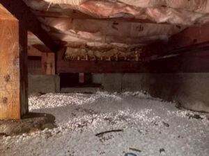 一宮市印田通Ｅ様邸：防蟻工事：白アリ対策