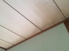 雨漏り画像