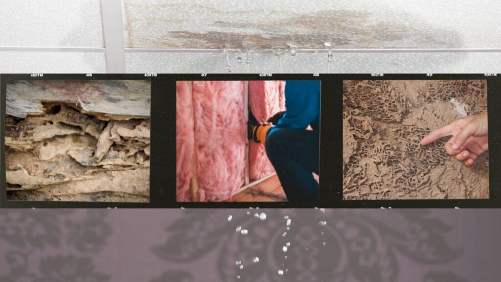 雨漏りを放置すると起きる深刻な二次被害