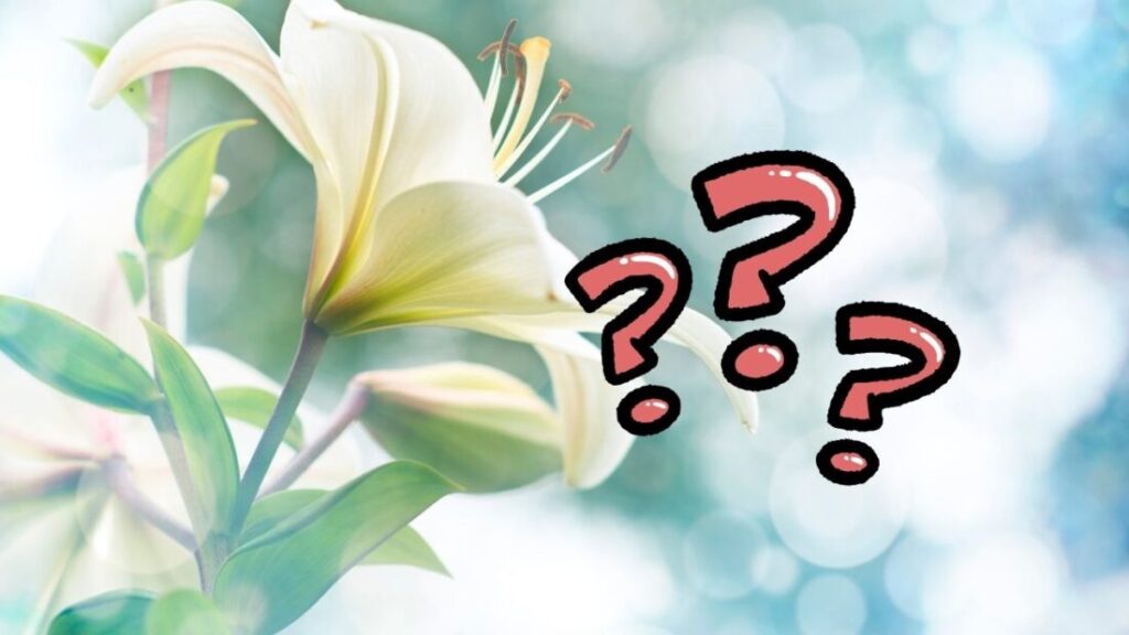 あま市で外壁塗装をお得に行う3つの方法