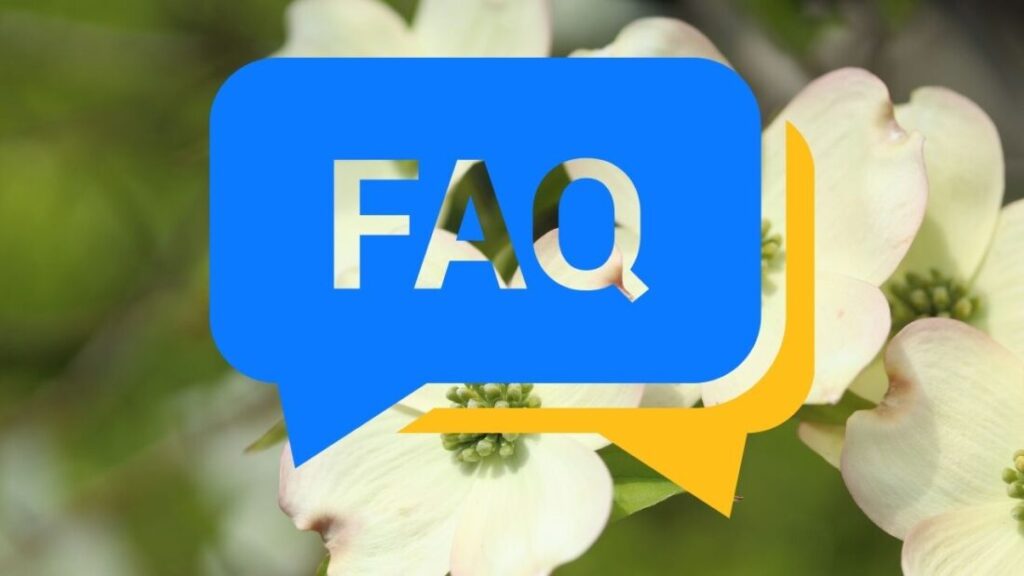 FAQ｜あま市の外壁塗装費用についてよくある質問