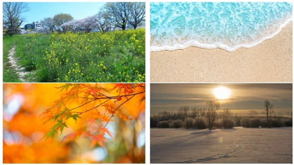 一宮市での塗装“適切な時期”の決め方（施工可否の基準と段取り）