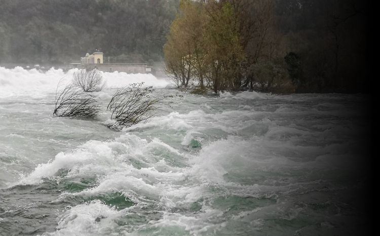 弥富市は「水への備え」を前提に外壁塗装を考えたいエリアです