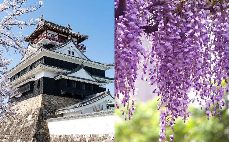 あま市・津島市で外壁塗装をするなら、低地エリア特有の備えを考えたいところです