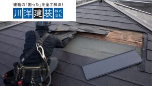 名古屋市で屋根修理を依頼するなら？費用・見積もり・部分補修か葺き替えかの判断基準